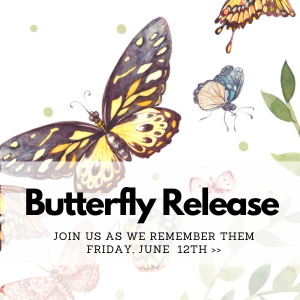 butterfly 300